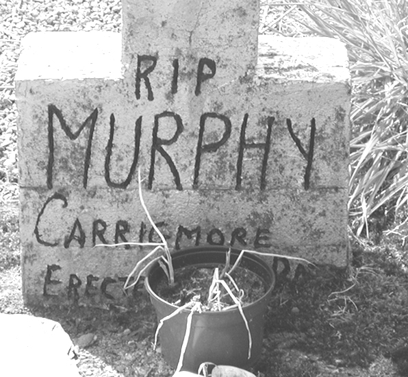 Murphy, Carrigmore.jpg 213.4K